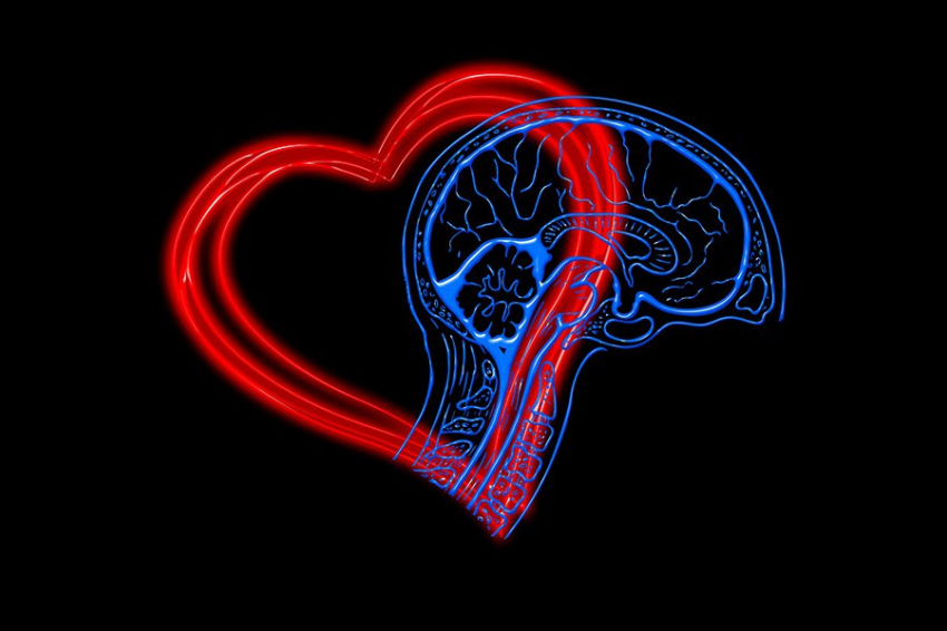 Neurology: у людей с сердечно-сосудистыми заболеваниями распространены скрытые изменения мозга