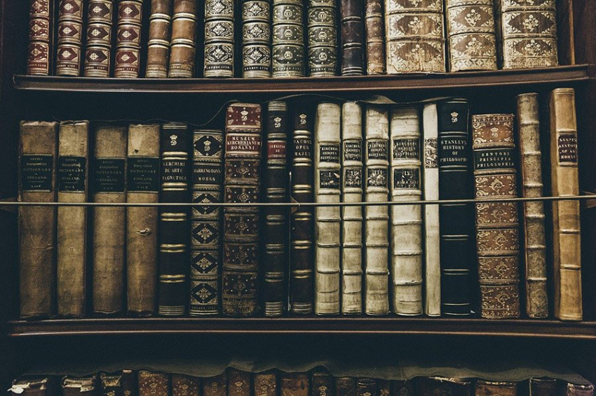 Люди, читающие художественную литературу, имеют лучшие когнитивные способности
