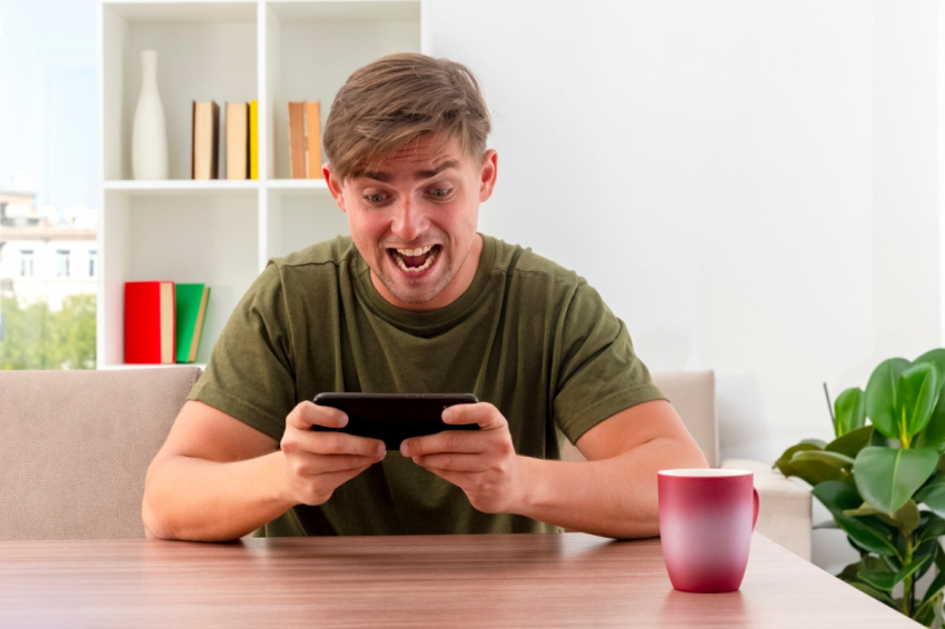 Эксперты из КФУ раскрыли смысл, якобы, безвредной игры в «хомяка»