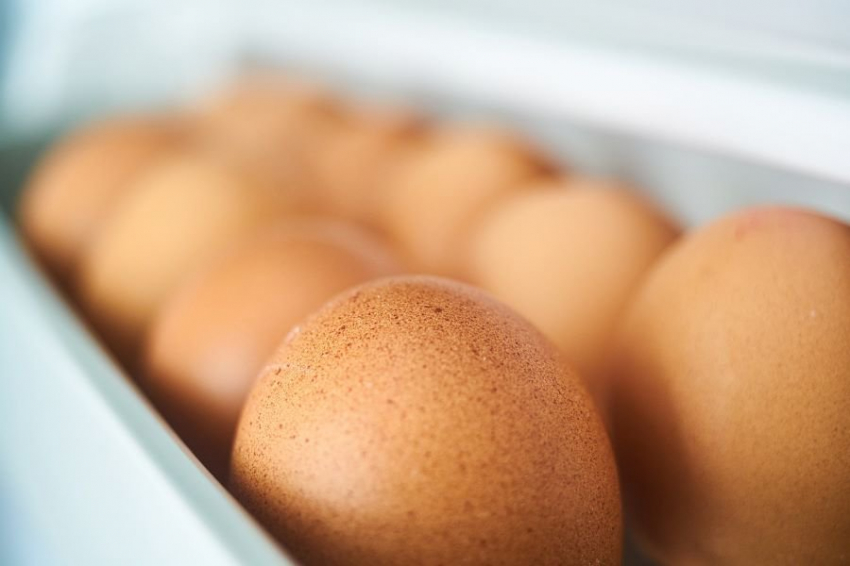 Специалисты рассказали, как хранить продукты в жаркую погоду