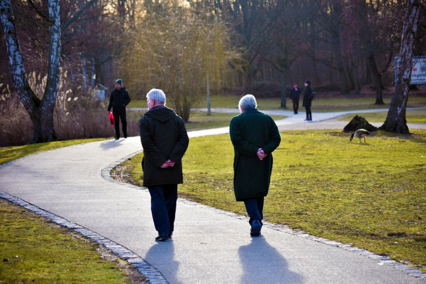 npj Aging: выявлен природный пептид, омолаживающий иммунитет