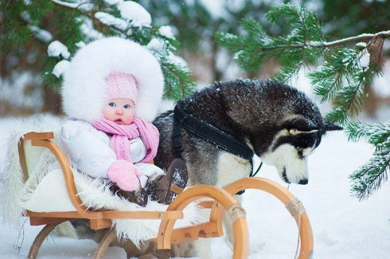 Семен и Анна, Хранитель младенцев прославляются 16 февраля 2025 года