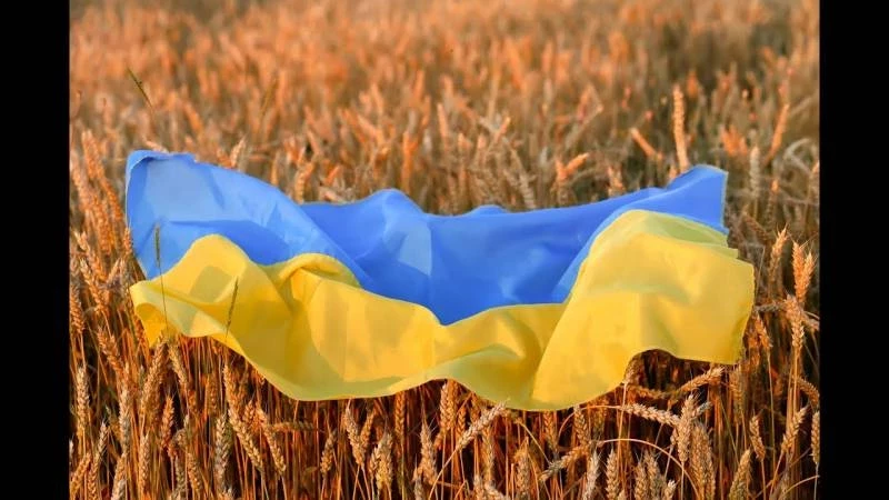 Могло быть по-другому»: Финский профессор о будущем Украины в контексте мировых изменений