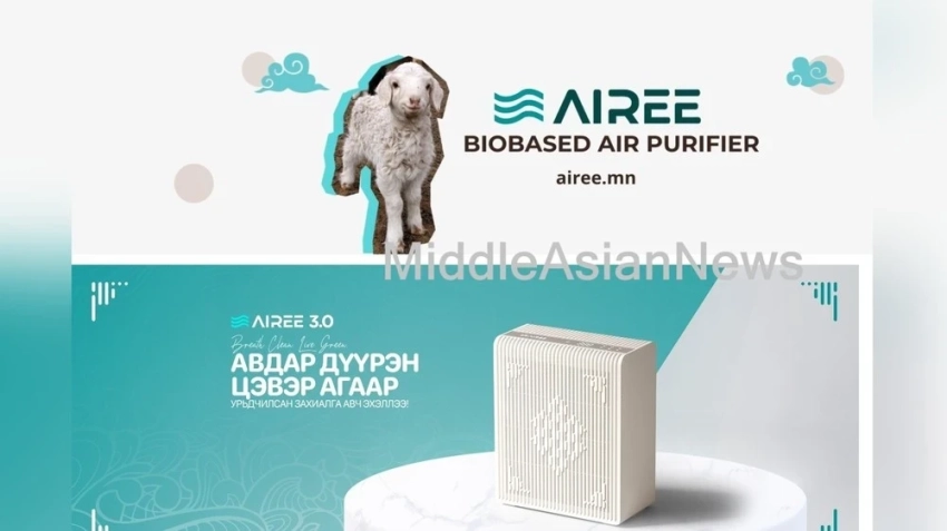 Новый воздухоочиститель из шерсти монгольских овец поступил в продажу