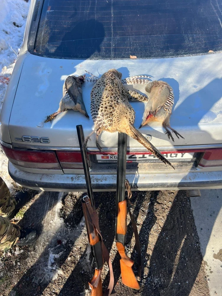 В Чуйской области провели рейды против браконьерства