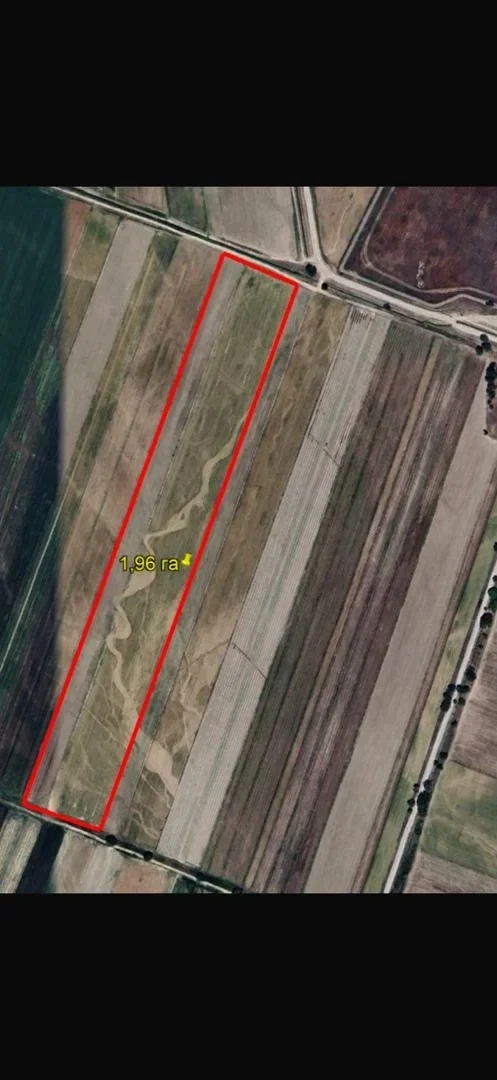 В Чуйской области на баланс государства возвращены 80 га земли