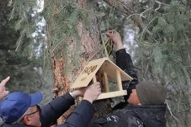 В природном парке «Ала‑Арча» установили экокормушки для птиц