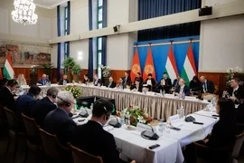 В Будапеште состоялось 4-е заседание Кыргызско-Венгерской межправкомиссии по ТЭС