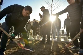 В Бишкеке высадили более 40 берез в рамках решений Экологического совета