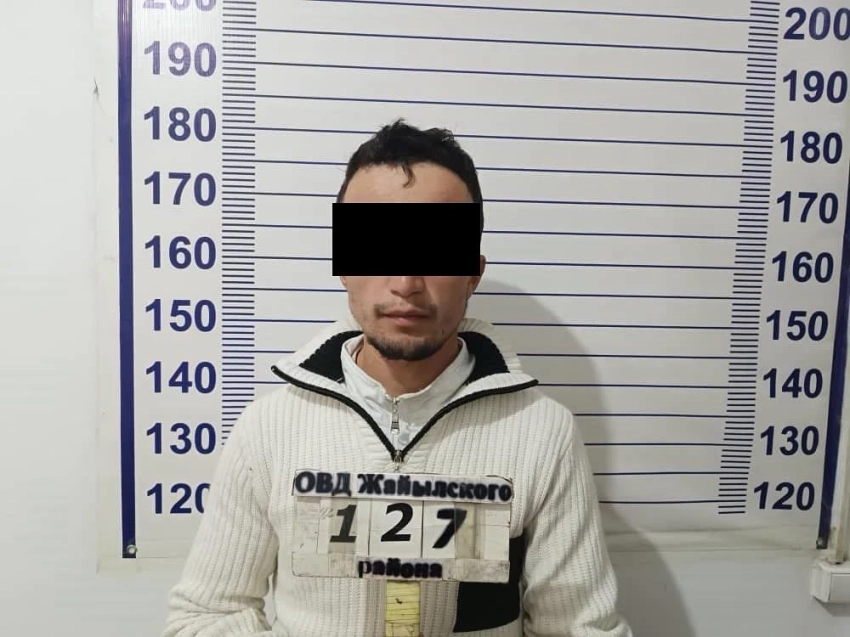 В Кара-Балте мужчина обманом завладел 32 быками на сумму почти 2,5 млн сомов