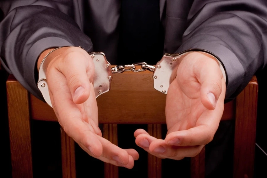 Британская полиция изъяла скелеты динозавров на 15 млн долларов у китайца, подозреваемого в крупной афере с отмыванием денег