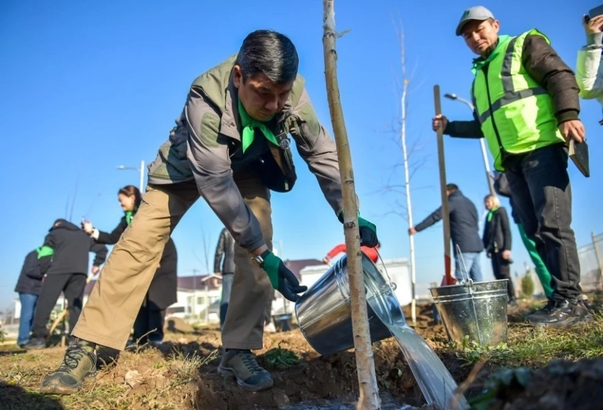 В столице высажено более 500 деревьев