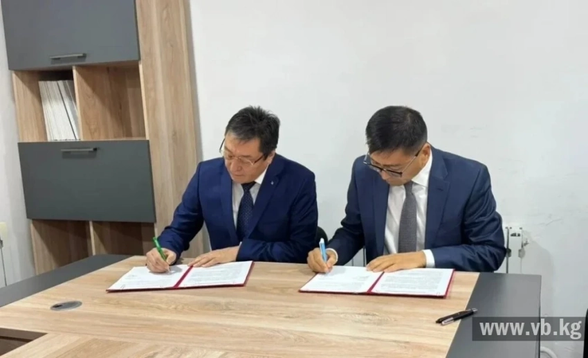 "Кыргызфармация" и "Биовит" защищают лекарственную безопасность страны
