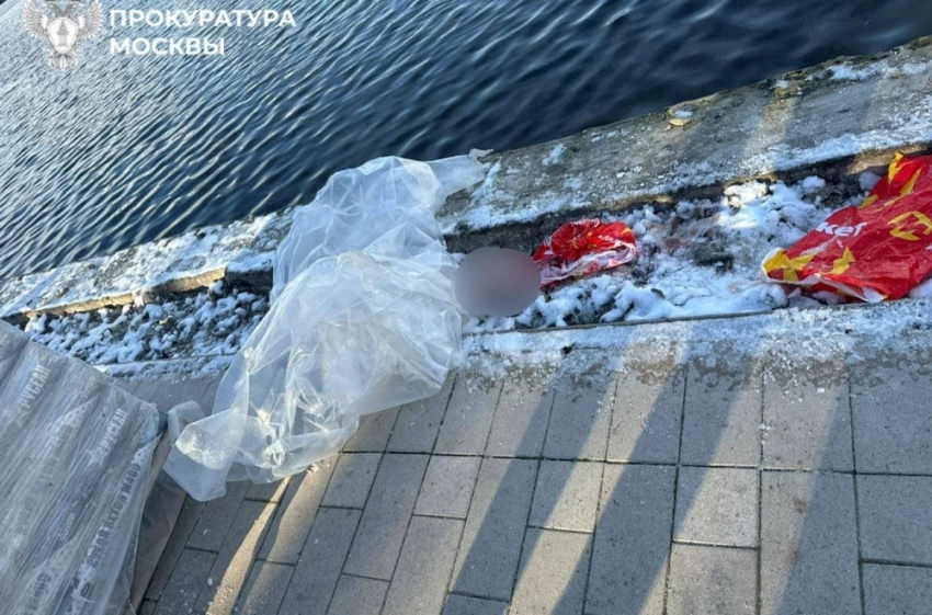 В Москве в пруду обнаружили рюкзак с фрагментом тела ребенка