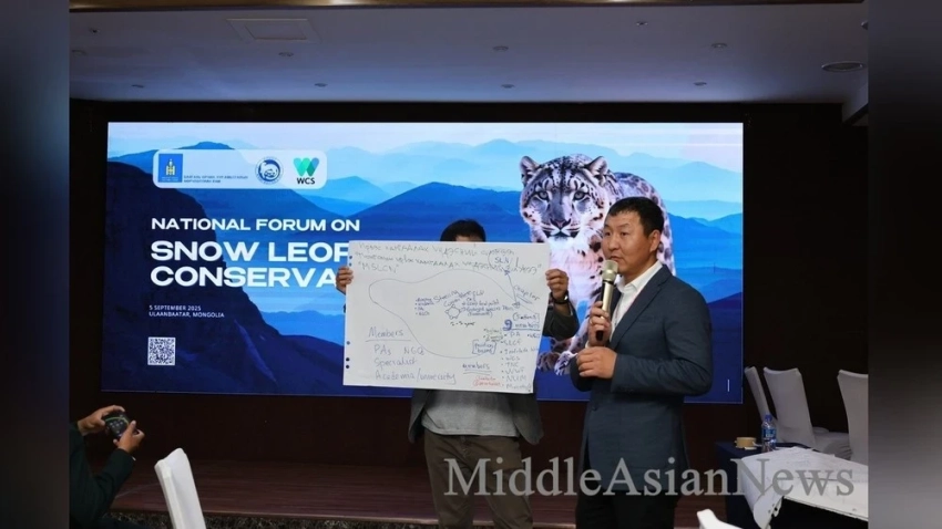 Станет ли новый железнодорожный проект в Монголии новой угрозой для снежных барсов?