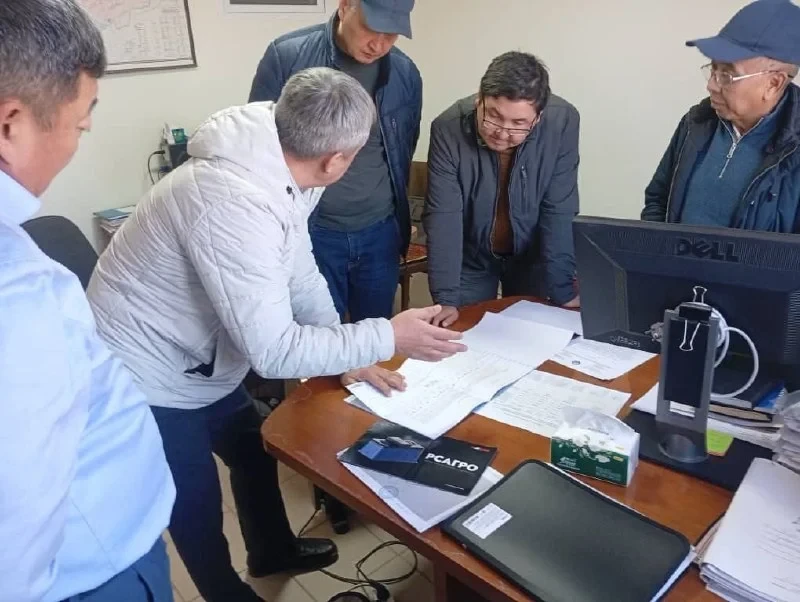 Договор вместо тендера. В МСХ пояснили по строительству комплекса для откорма КРС