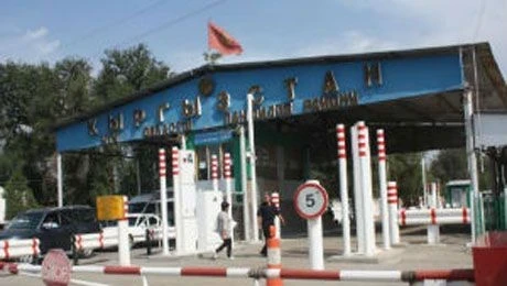 За 11 месяцев в Кыргызстан из-за фитосанитарных нарушений не пропустили более 562 тонн грузов