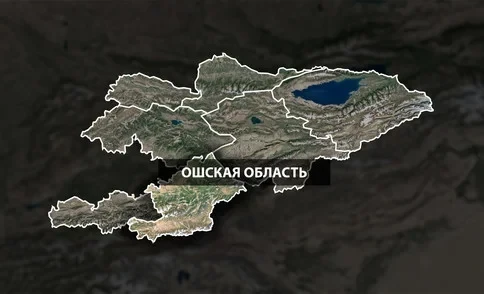 В Ошской области создадут 53 предприятия для переработки овощей, мяса и риса