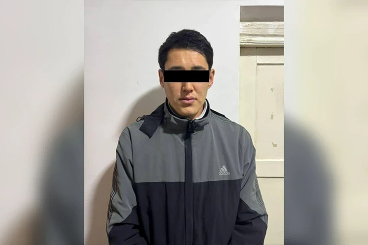 В Чуйской области задержан подозреваемый в серии краж