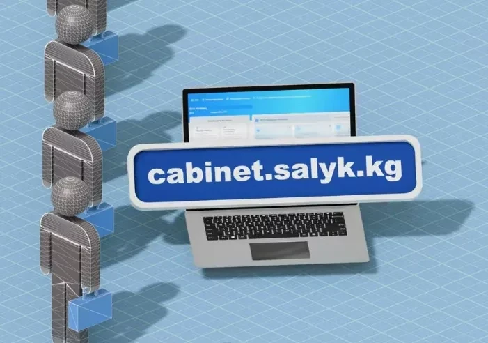 Налоговая служба КР: Внедрен сервис онлайн-перерегистрации ИП