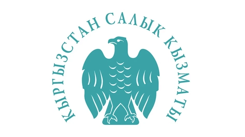Налоговая служба Кыргызстана начнет принудительную дерегистрацию бездействующих юрлиц и ИП