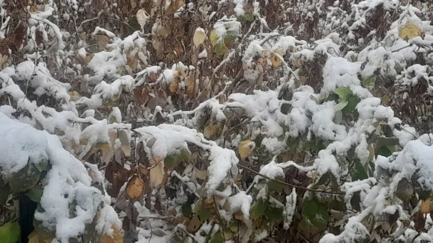 Без осадков будет в ближайшие дни только на западе Казахстана