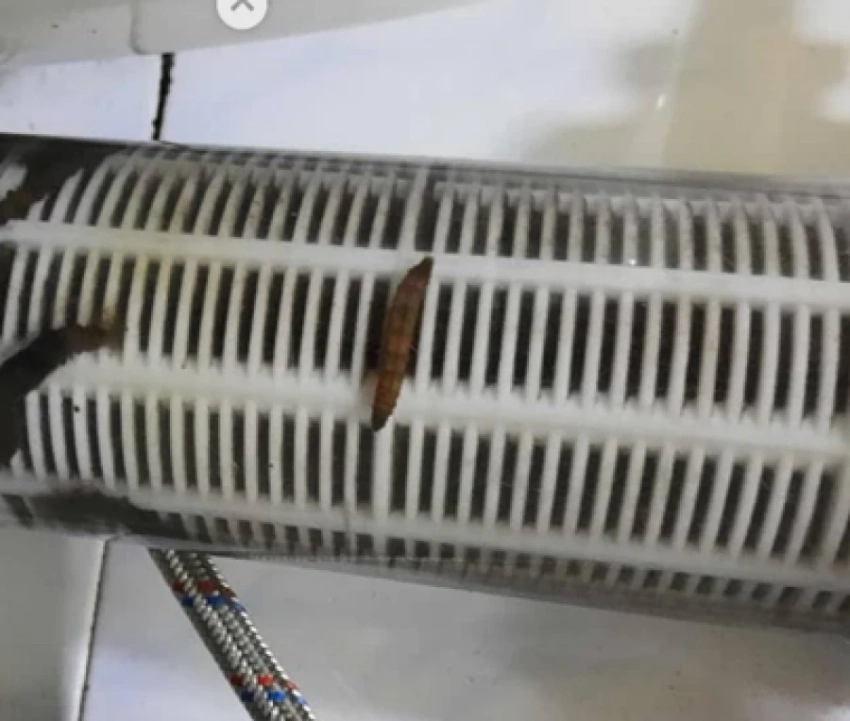 Грязь и паразиты обнаружены в питьевой воде в Караколе