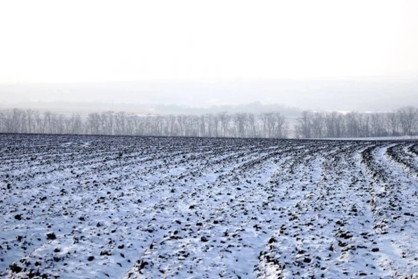 Земля к зиме не подготовлена. Торобаев призывает фермеров ускорить подготовку