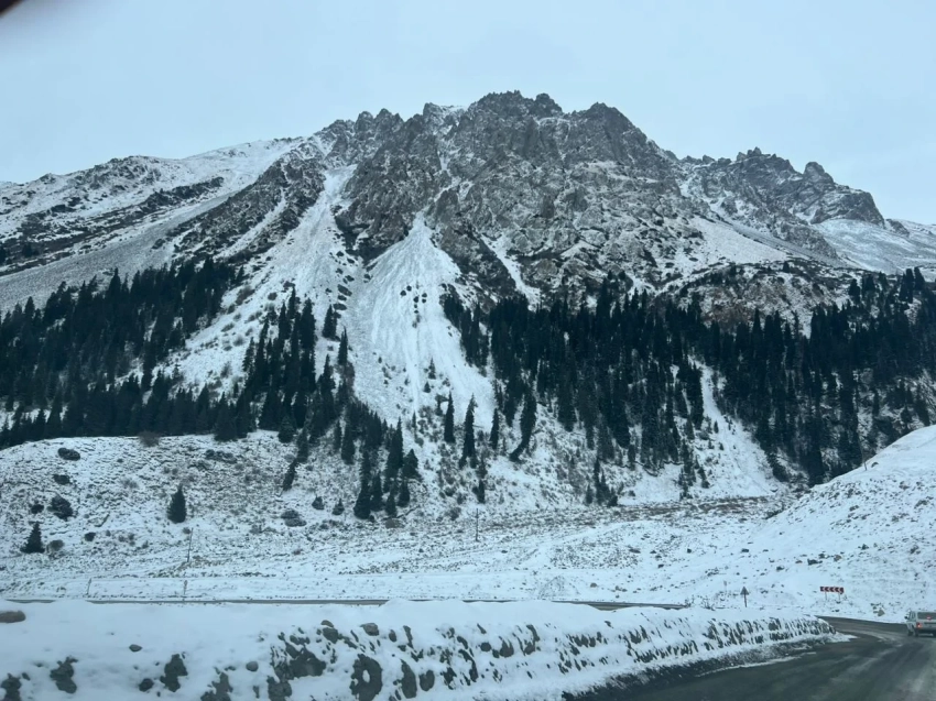 Кыргызстан проводит крупнейший за последние годы учет архаров и козерогов