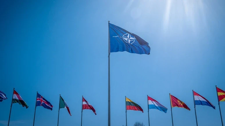 Франция предложила НАТО провести учения в Гренландии