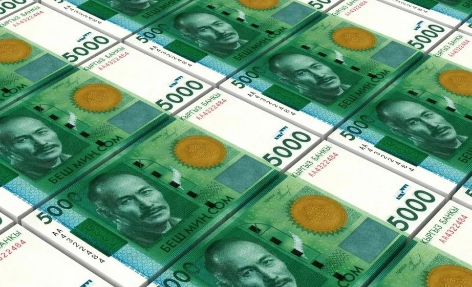 В Кыргызстане меняются правила выдачи бюджетных кредитов – подробности