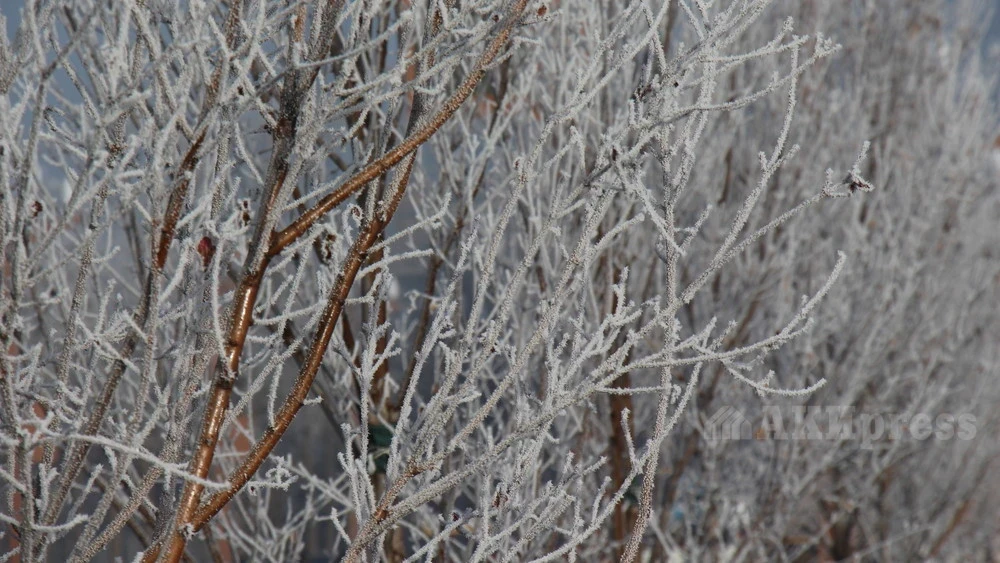 Прогноз погоды на 25 января: осадки в большинстве регионов Узбекистана, гололедица на дорогах
