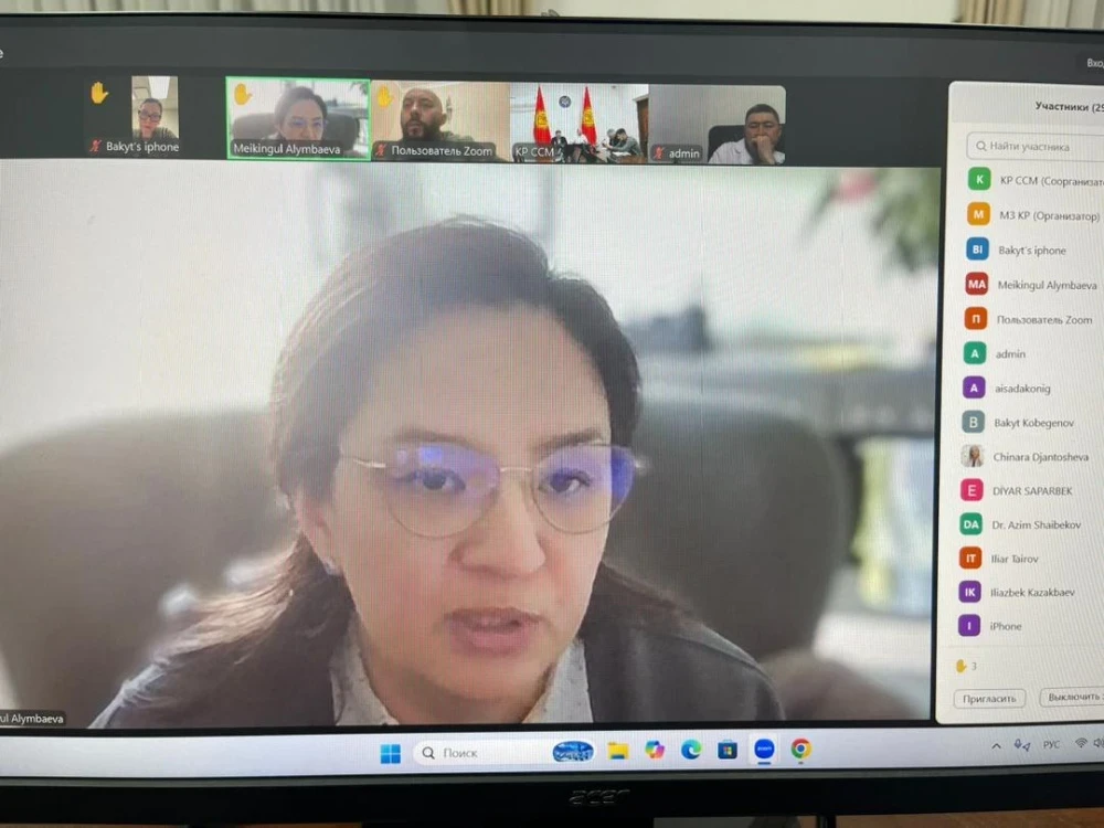 В Минздраве прошла онлайн-встреча с кыргызскими врачами, работающими за рубежом