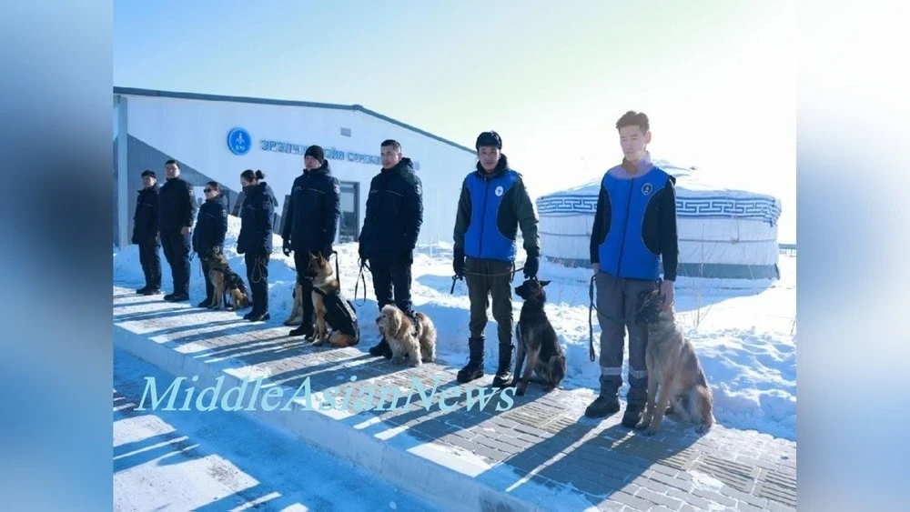 Служебные собаки обнаруживают 30–40% изъятых наркотиков на воздушной границе