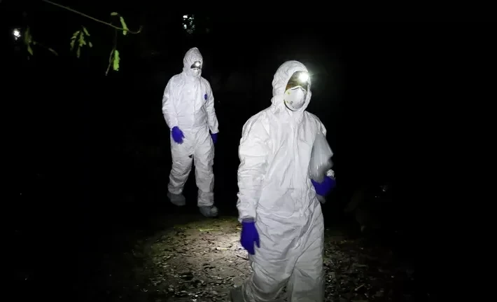 Распространение вируса Нипах возможно из-за низкой изученности, заявила ВОЗ