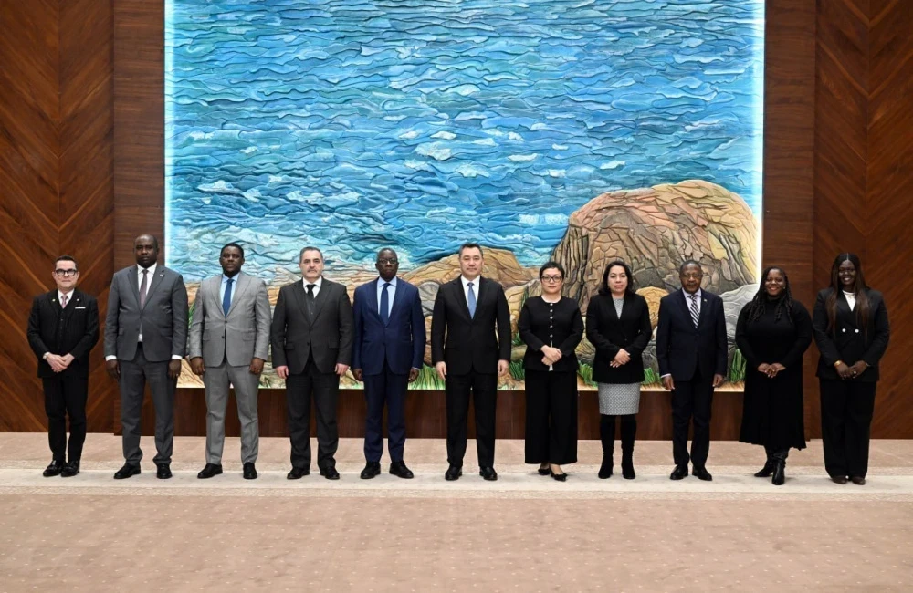 Садыр Жапаров обсудил с представителями стран при ООН глобальную безопасность и климат