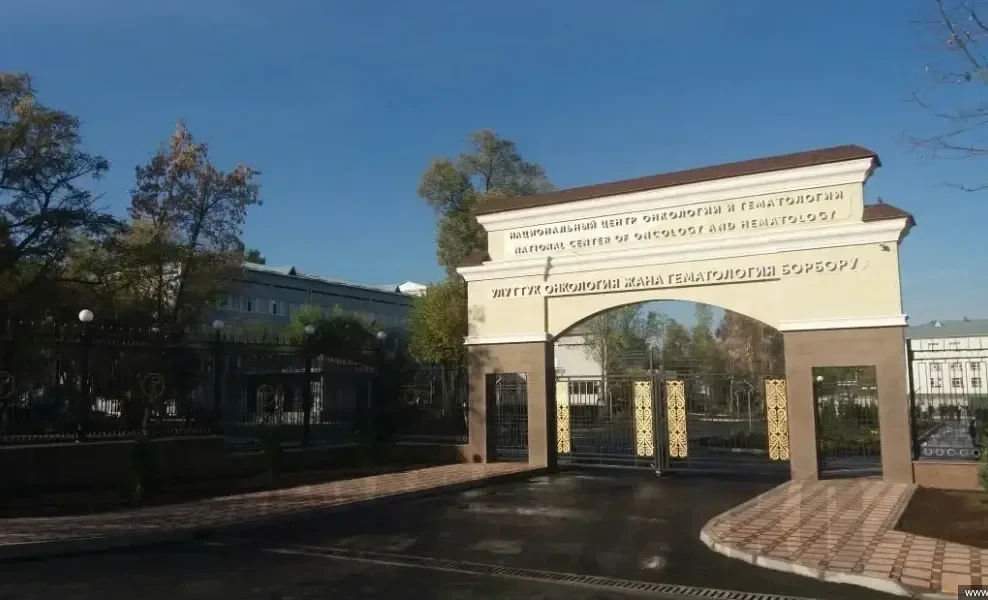 Для полноценной работы онкобольниц в Кыргызстане требуется 4,5 млрд сомов