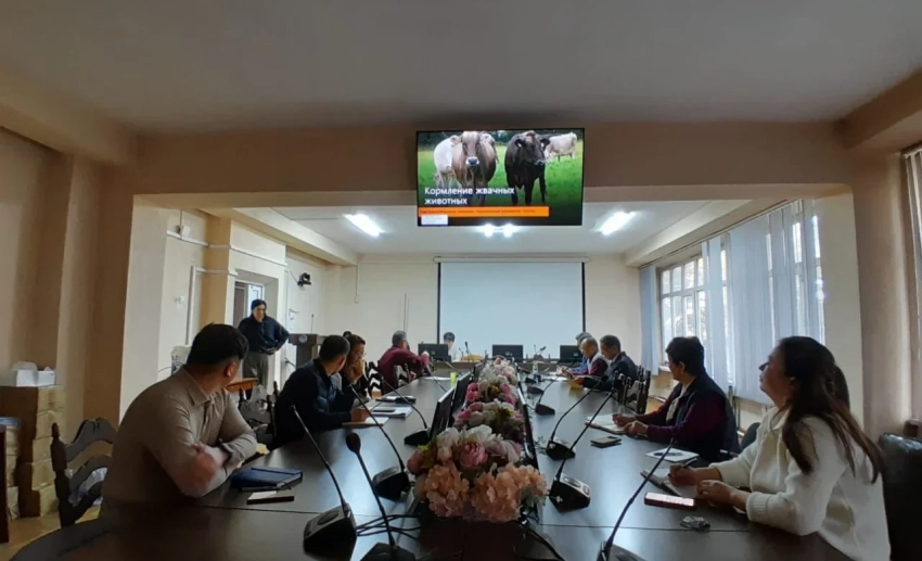 Специалистов НИИ животноводства обучили современным методам кормления сельхозживотных