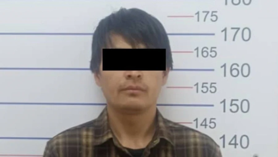 В одном из вузов Бишкека украли сумочку с айфоном, 2 тысячами долларов и 300 тысячами сомов