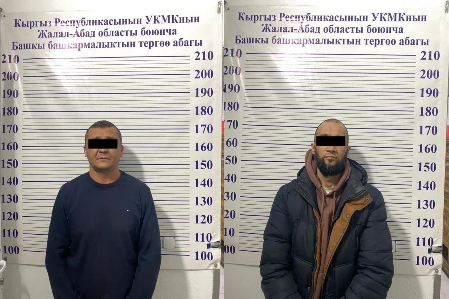 В Кыргызстане пресечена крупная схема незаконной продажи земель в Сузакском районе