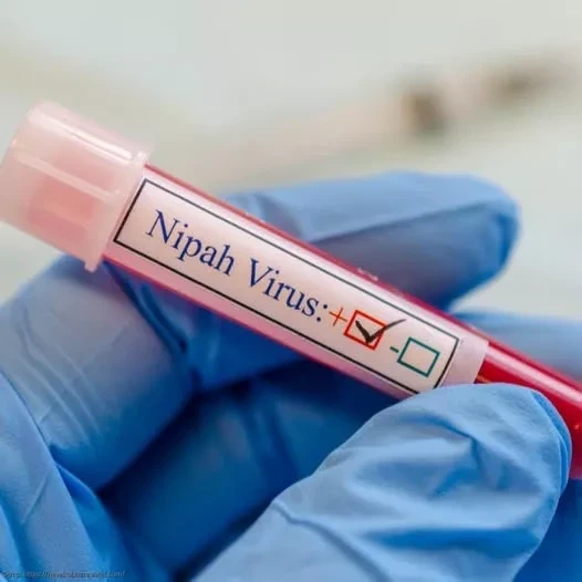 В Бангладеш скончалась женщина, заражённая вирусом Нипах