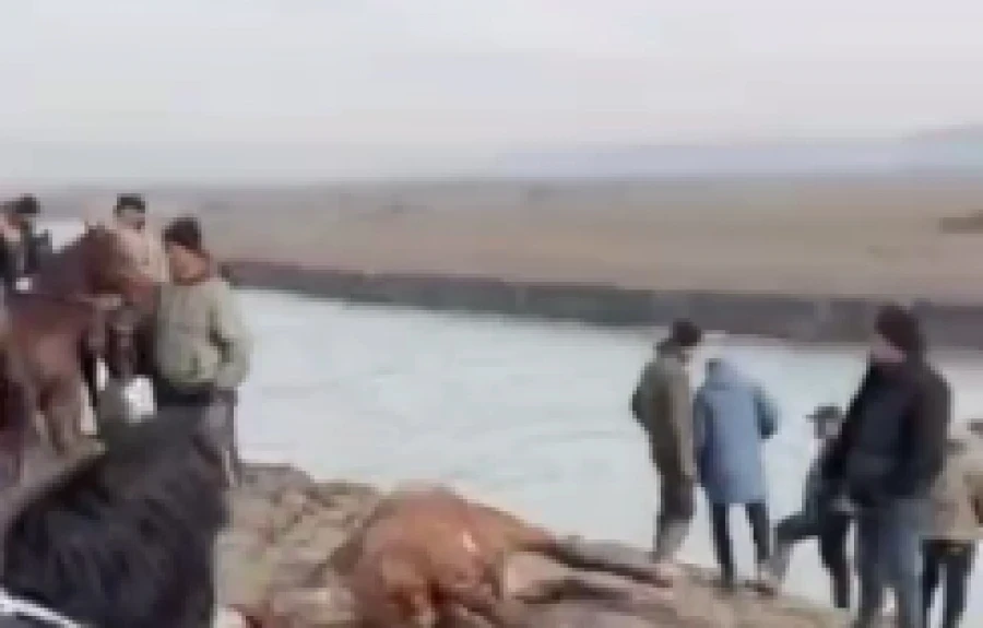 В Узгене во время улак тартыша погиб мужчина