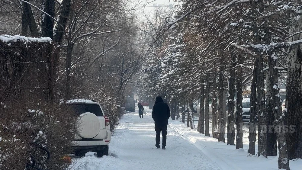 На юге и юго-востоке Казахстана ожидаются дожди и снег