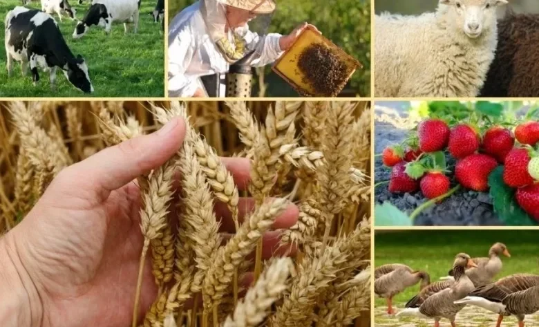 Специалисты из Катара и Китая выступят на форуме «Агродиалог–2026» в Бишкеке