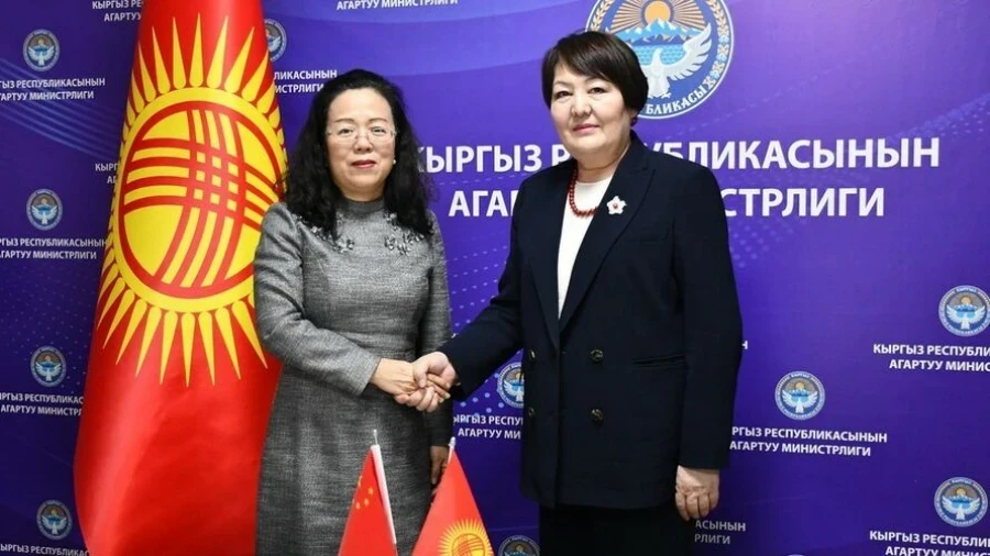 Китай поможет Кыргызстану с дошкольным и школьным образованием