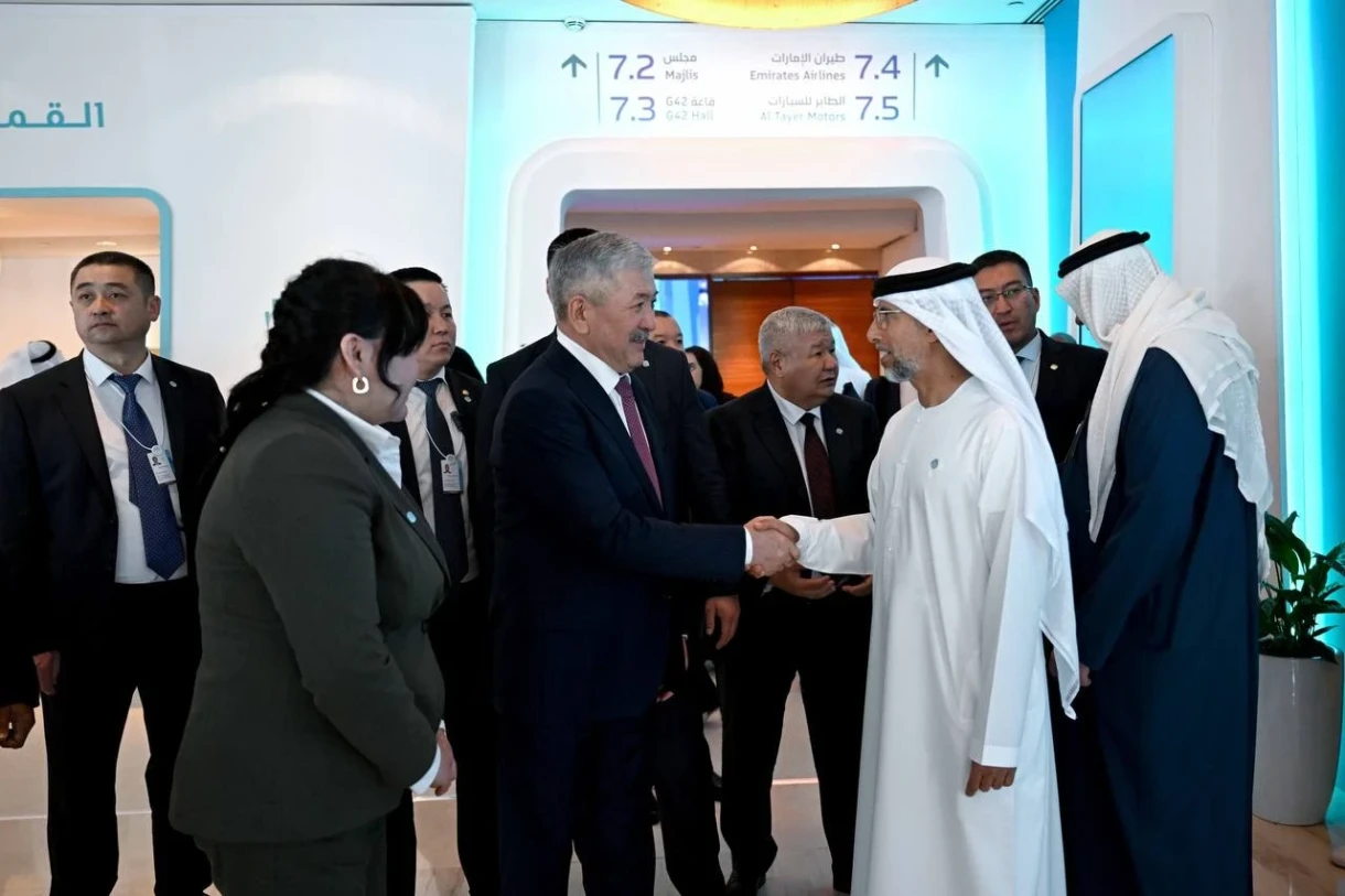 Ведущая компания из ОАЭ готова сотрудничать с Кыргызстаном в сфере энергетики