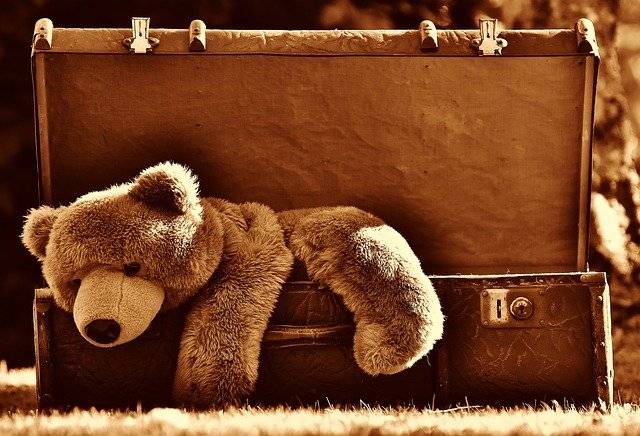 Какие интересные российские и международные праздники отмечают 27 октября 2024 года