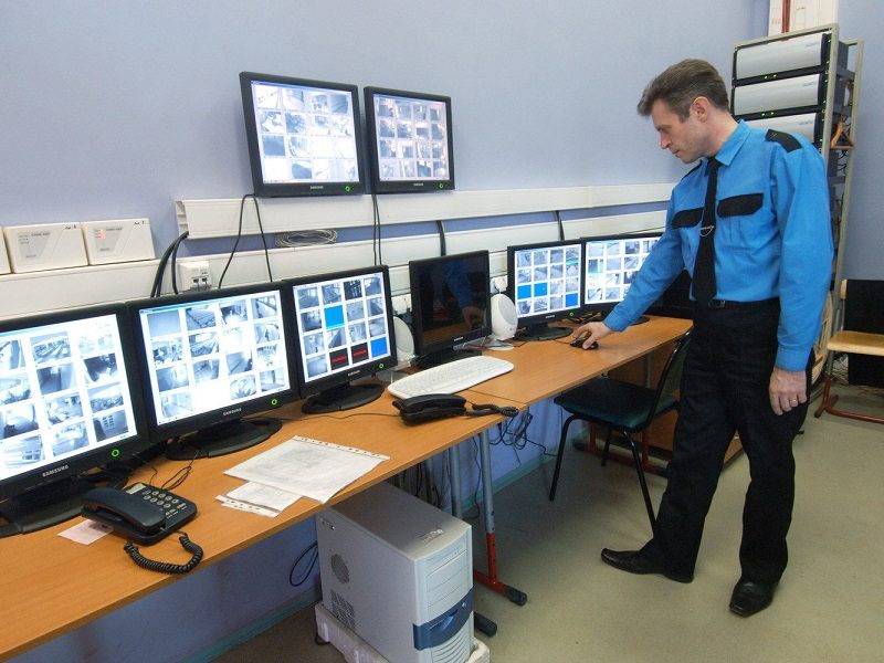 Какой праздник отмечают 12 ноября 2024 года: профессиональные, экологические и социальные мероприятия дня