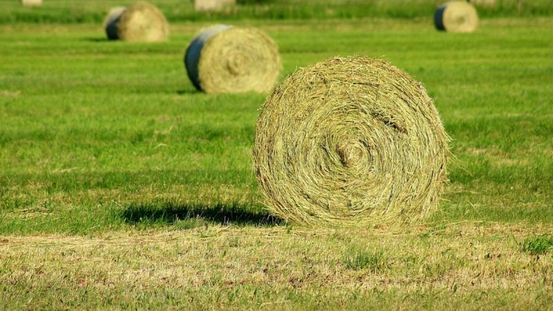 Приметы и поверья на 18 августа 2024 года, по которым судят погоду зимой