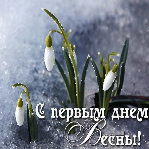 С первым днем весны 1 марта можно поздравить открытками и теплыми словами